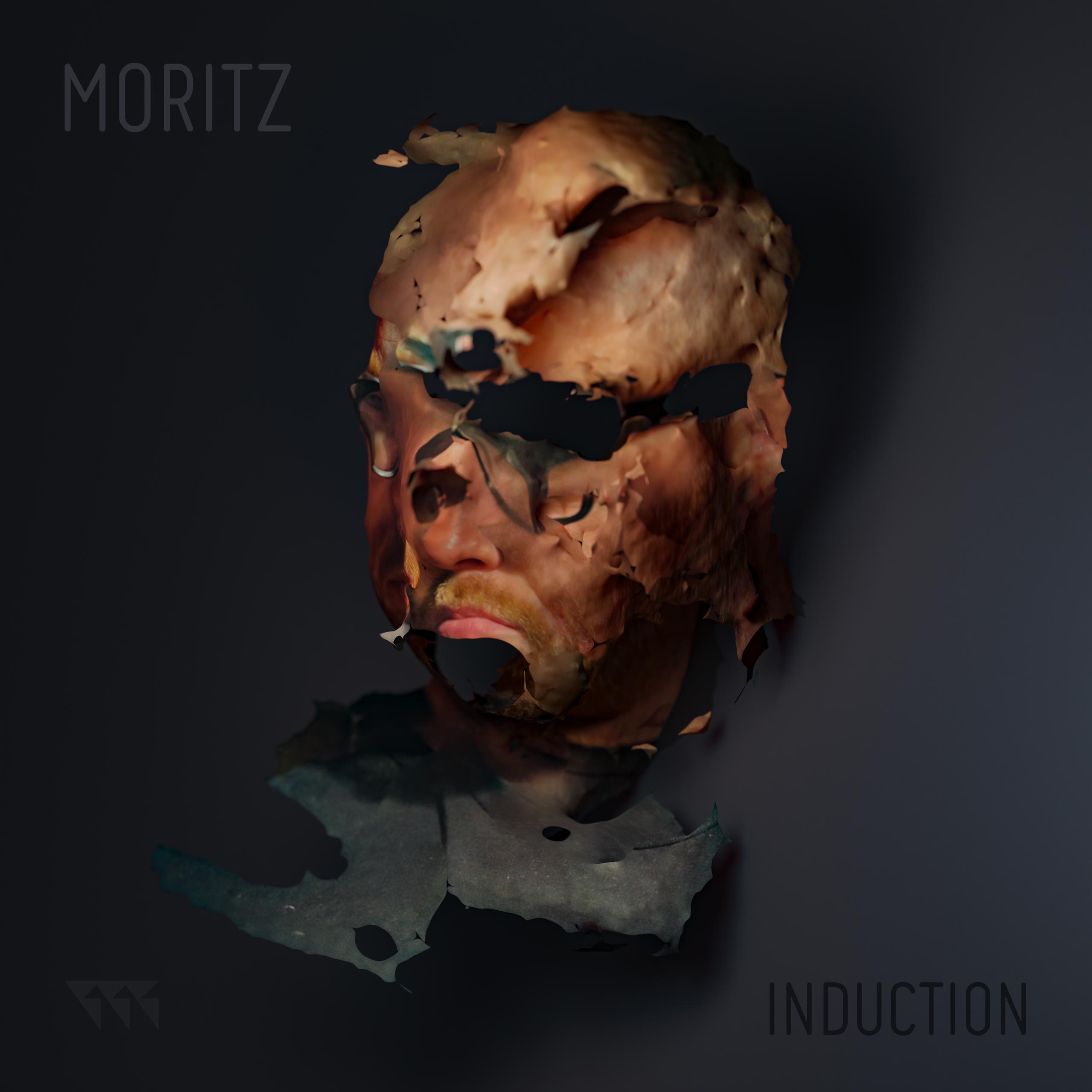 Moritz Induction Cover